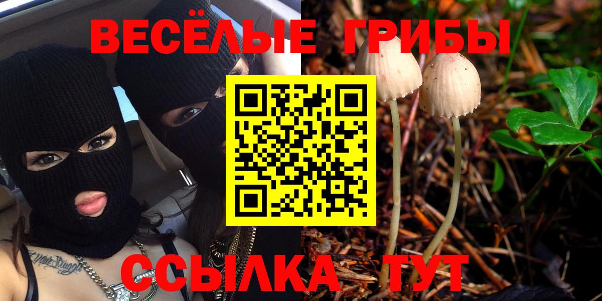 Мирный  Псилоцибиновые грибы Psilocybe  Псилоцибиновые грибы Cubensis  Вход с VPN 